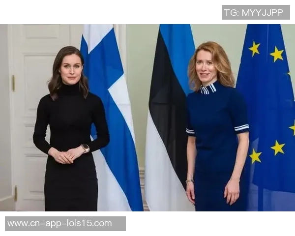 2017年芬兰与爱沙尼亚足球对决精彩回顾与分析