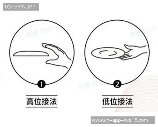 南京飞盘队技术探讨：提升竞技水平与团队协作的关键要素分析
